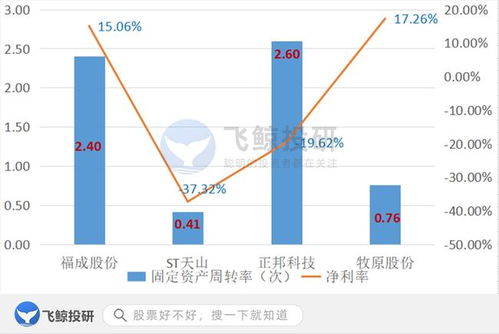 排雷必備 巧用固定資產篩選企業，優化企業資產管理