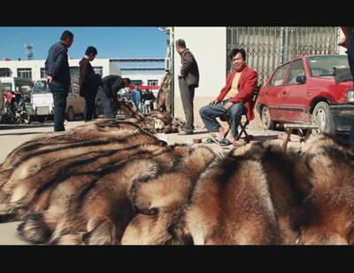改革開放后，蠡縣皮毛皮革產(chǎn)業(yè)的輝煌與轉(zhuǎn)型